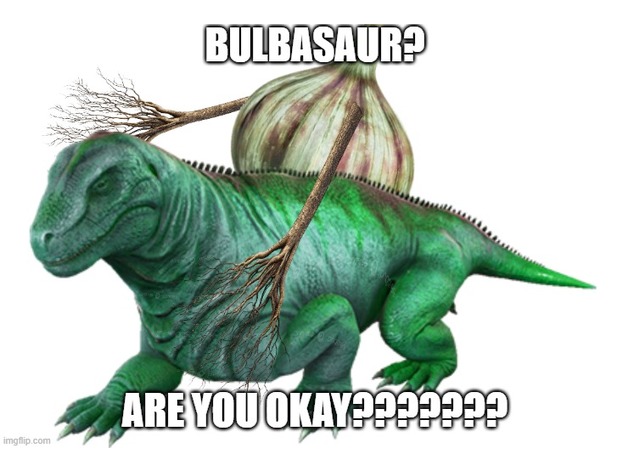 Bulbasaur iyi misin {meme}