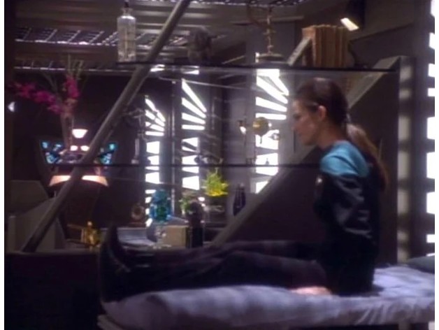 Bölücü Raf Duvar- Star Trek DS9