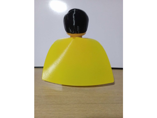 Robin Dev Minifig