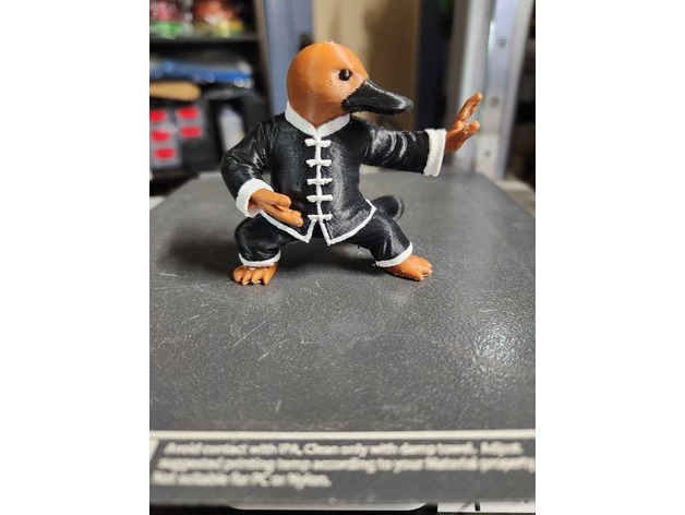 Tai Chi Ornitorenk