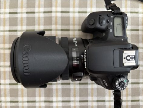 Canon EF S 17 55mm F 2 8 USM Lens Kaput - Görsel 6