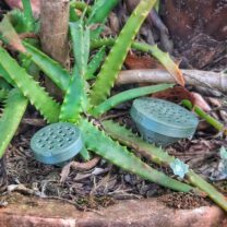 Çiçek Bitki Gübre Sepeti