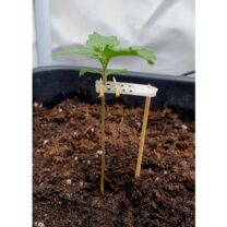 Fide dik tutma braketi