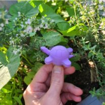 Bahçe için kaplumbağa dekor