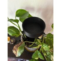 Çiçek sulama braketi