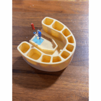 Endodonti için diş eğitim modeli