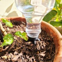 Dişli Sulama Çivisi