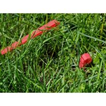 Basit Bahçe Çadırı Fiş