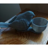 Kaseyle Birlikte Kuş