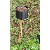 Yaprak Kesici Karınca Tuzağı