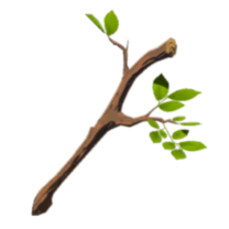 BOTW Ağaç Dalı (Hyrule Ansiklopedisi)