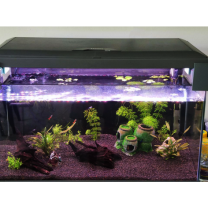 58L Inwa Akvaryum Kapak Ara Parçası