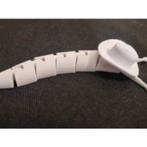 Şapkalı Hareketli Sümüklüböcek