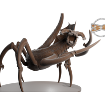 Siyah Ejderha Örümcek