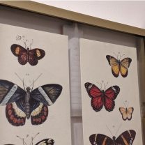 3M Command Strip Resim Çivisi