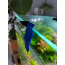 Aquael Karides Üst Kapak Desteği