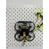 Asya Eşekarısı İçin Giriş Sınırlayıcı