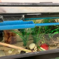 AquaClear 70 Su Filtresi Dağıtıcı