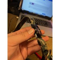 AirTag Köpek Tasması