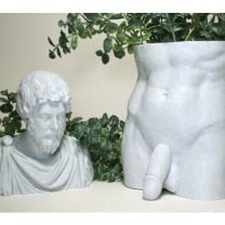 Büyük David Saksısı