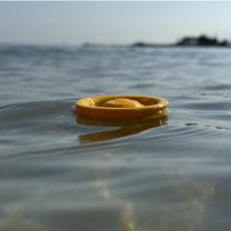 AquaFlyer Yüzen Mini Frizbi