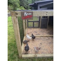 “Tavuğa Dikkat” Tabelası