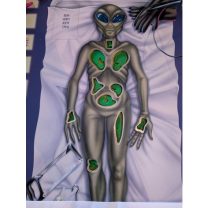 Alien Otopsisi Masa Oyunu Yedek Organlar