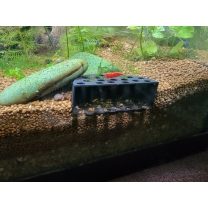 Akvaryum Karides Saklanma Yuvası