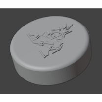 Arizona Coyotes Hokey Puck’ı