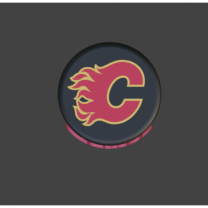 Calgary Flames Hokey Diski