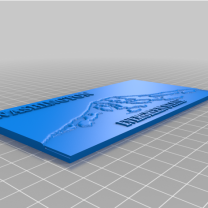 Boş Washington Plakası