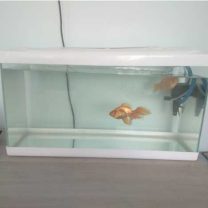 Akvaryum Filtresi Tutucu (Özel 3D Baskı Montaj)