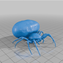 Büyük Kalçalı Örümcek