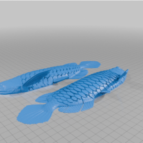 Dilimleyici ile Uyumlu Arowana