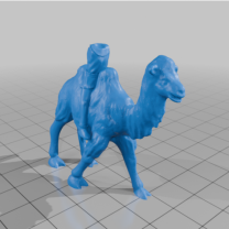 Deve Süvarisi Şalgam 28