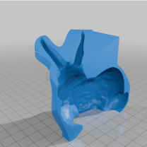 Tavşan kalıp remix