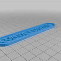 Convict Cichlid Plaketi 2