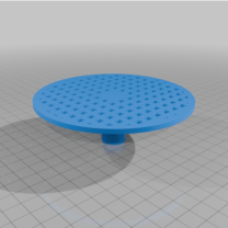 Saksı Bahçeciliği – Çiçeklenme