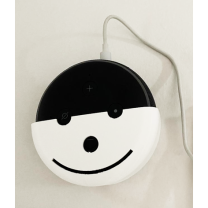 Alexa Echo Dot Duvar Askısı