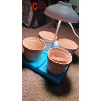 Direk Montajlı Yetiştirme Işığı Spotlu Jiffy Saksı Tutucu 3D Baskı