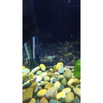 Akvaryum Hava Hortumu Köşe Desteği 3D Baskı