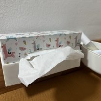 Alt Değiştirme Masası için Mendil Kutusu Tutucu 3D Baskı