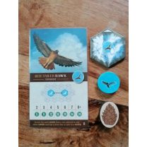 Cascadia Masa Oyunu Sergi Tahtası ve Jetonlar