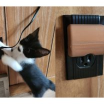 Yavru Kedilere Karşı Priz Kablo Kılıfı Koruyucu 3D Baskı