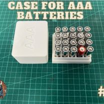 AAA Piller için Kılıf