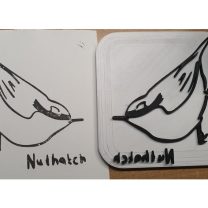 Nuthatch Damga 3D Baskı