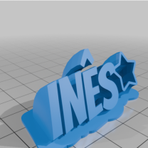 INES 3D Baskı