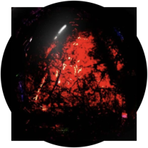 The Singularity 1/10 Ölçek Vita Carnis 3D Baskı