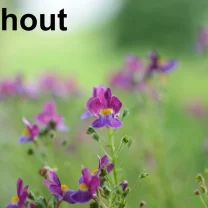 3D Baskı M8 İnce Diş Somun Tasarımı