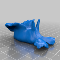 Anapsidea 3D
